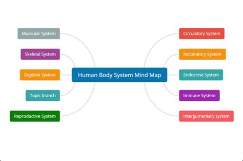 Endocrine System Mind Map