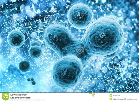 Bacteria Or Cells Under A Microscope Royalty Free Stock Image Image