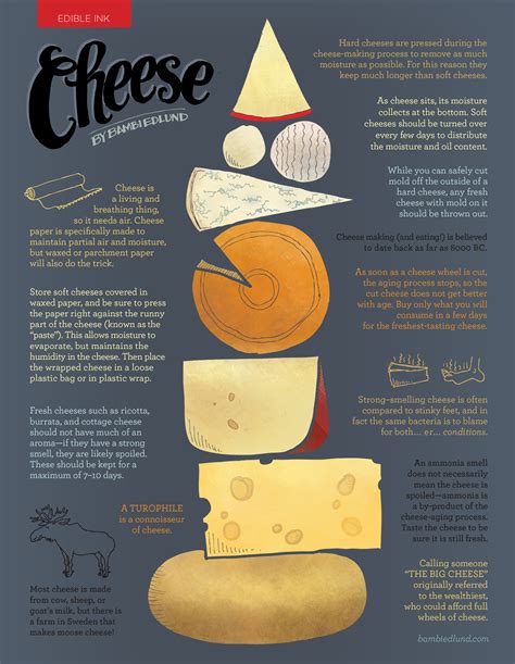 Everything You Need To Know About Cheese 35 Infographics Part 14