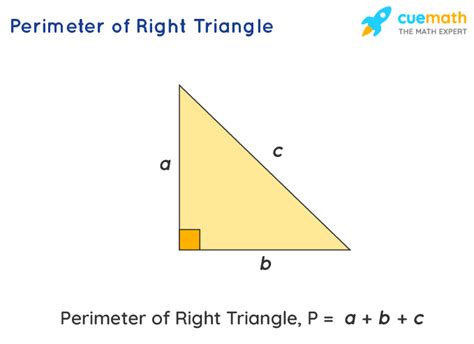 How To Find The Perimeter Of A Right Angled Triangle With One Side