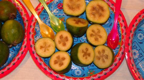 Give your cactus some heat. Nergeta: Northern Hemisphere's Highest Quality Green Kiwifruit