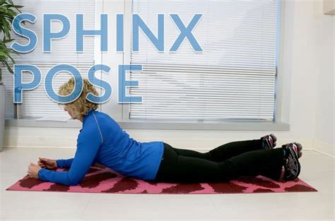 How To Do The Sphinx Pose Back Pain Florida Biospine