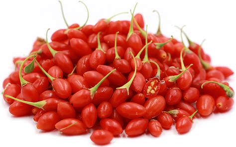 Goji Berries Information Recipes And Facts