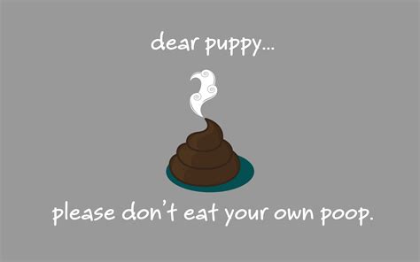 🔥 Download Desktop Day Don T Eat Poop Matt Mcclendon By Dclark Poop