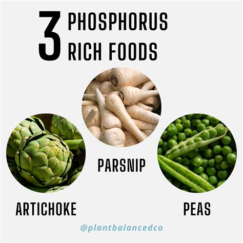 Phosphorus Is One Of The Important Minerals That You Should Include In