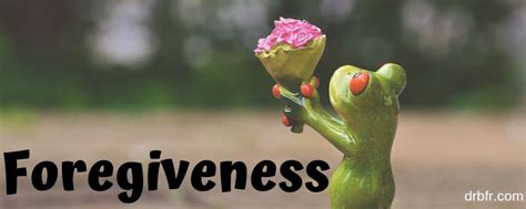 The red rose is known as the flower of love. forgiveness | Bach flower remedies, Flower remedy, Forgiveness