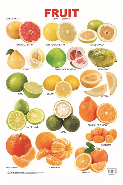 Citrus Fruit Chart Citrus Fruit List Fruit And Veg Citrus Fruits