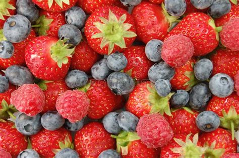 Mixed Berries Stock Photo Image Of Raspberry Organic 10120390