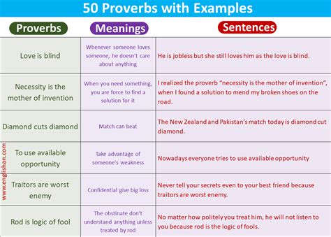 Proverbs In English With Meaning And Sentences Learn English Grammar