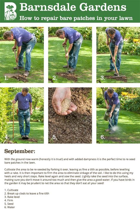 Garden Jobs For September How To Repair Bare Patches In Your Lawn