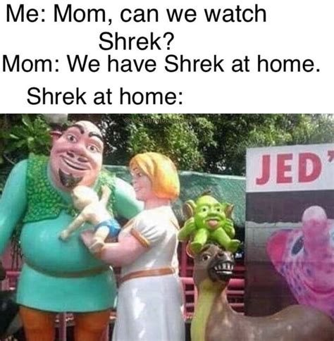Me Mom Can We Watch Shrek Mom We Have Shrek At Home Shrek At Home