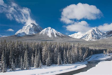 Bow Valley In Winter Banff National Park Alan Majchrowicz Photography