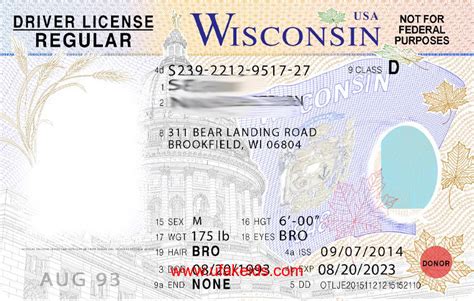 Fillable Editable Blank Drivers License Template