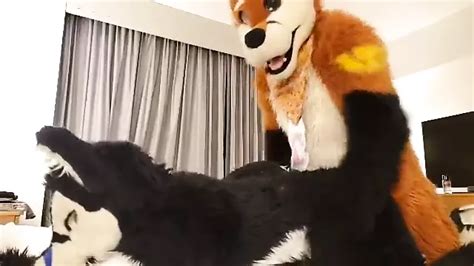 Play Fursuit With Friend Xhamster