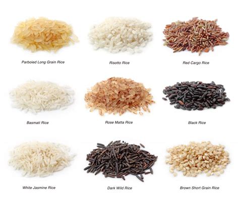 What Are The Different Types Of Rice With Pictures