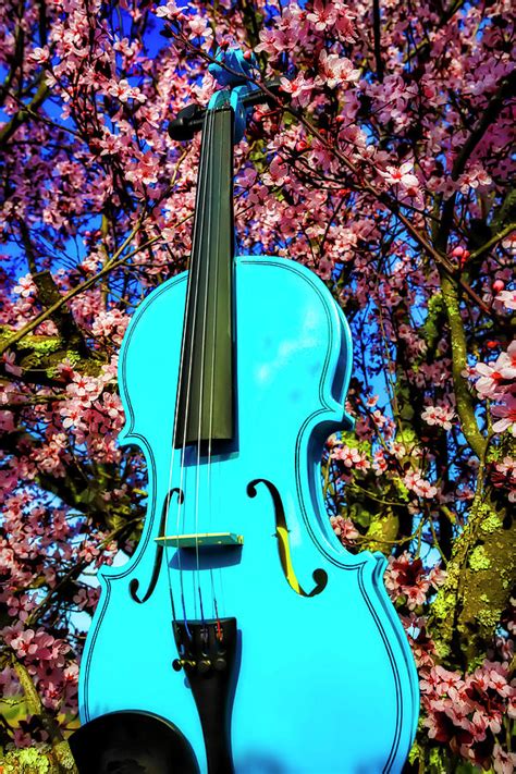 Blue Violin Among Blossoms Photograph By Garry Gay Fine Art America