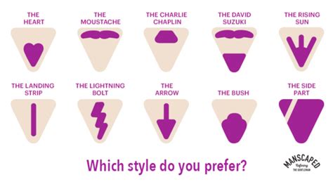 What are my pubic hair removal options? Types Of Pubic Hair Cuts Men - 27 best Men's Shaving Tips ...