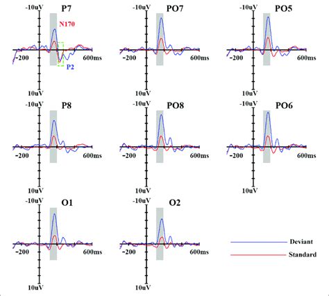 Event Related Potential Erp Waveforms Of Standard And Deviant