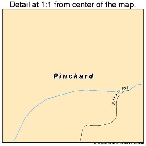 Pinckard Alabama Street Map 0159832