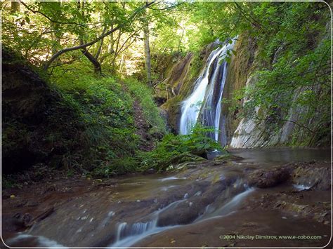 Waterfall In Forest Scenery Background Scenery Backgrounds