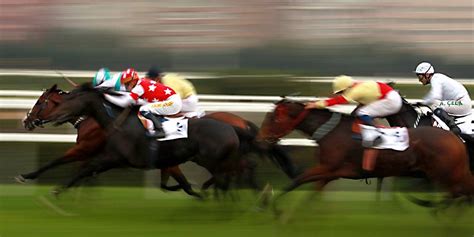 How Fast Can A Horse Run Top Speeds Fastest Breeds And More