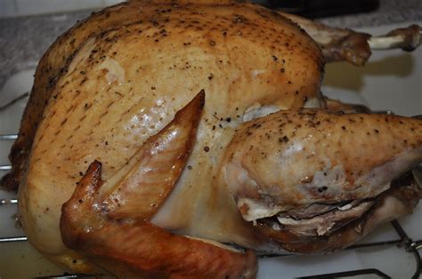 Beths Favorite Recipes Perfect Turkey In An Electric Roaster
