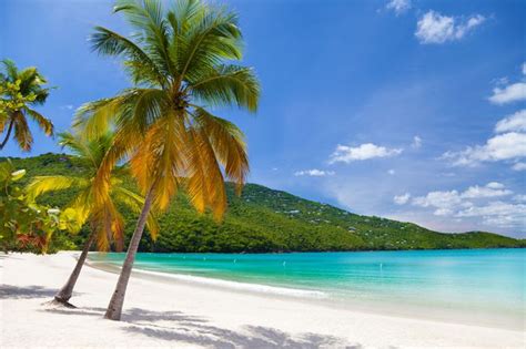 The Best Beaches In The Us Virgin Islands