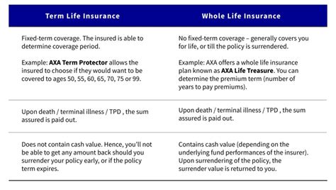 Can A Term Life Insurance Policy Be Cancelled Sanepo