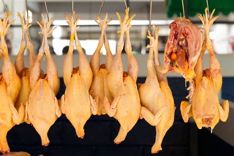 Chinese Poultry Processors Will Be Allowed To Export Meat To The Us Usda Rules Huffpost