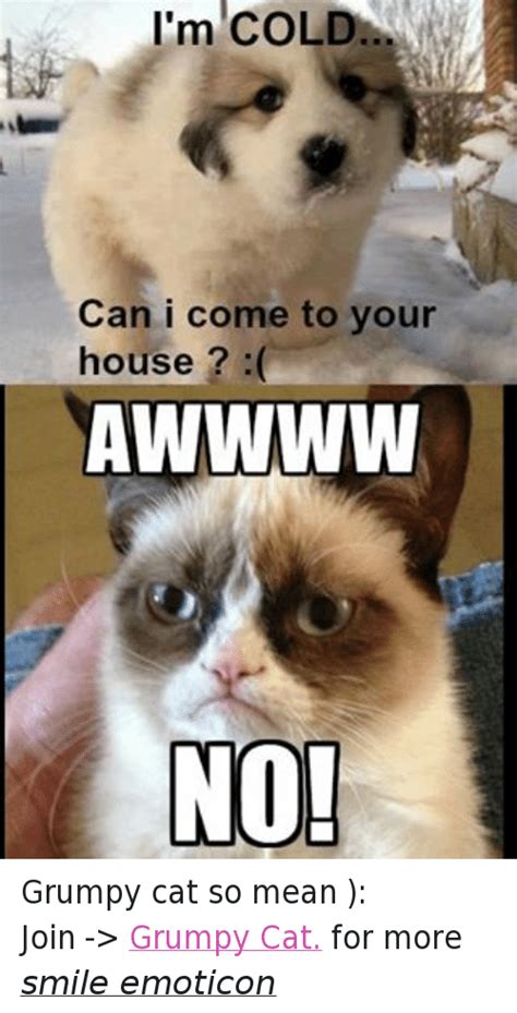 Ho Ho No Grumpy Cat No It Al P Cats Meme On Meme