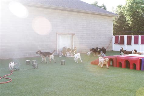 Traveling Tails Inn | Kennel Free Dog Boarding, Daycare, Grooming