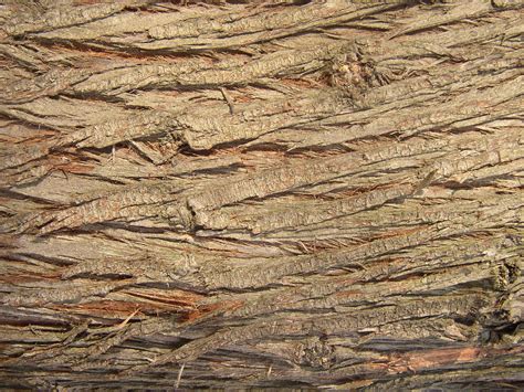 Free Photo Rough Wood Texture Aged Ridges Wood Free Download Jooinn