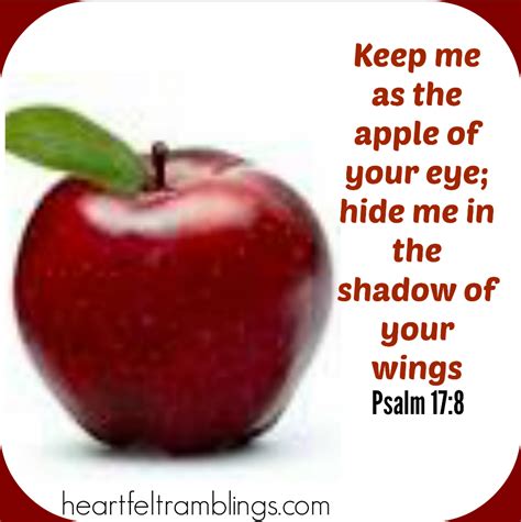 Satan turned eve's eye to the apple, achan's eye to the wedge of gold, ahab's eye to naboth's vineyard, and then what work did he make with them! You are the apple of His eye | Apple, Psalm 17, Grateful