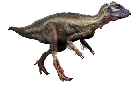 Hypsilophodon Dinosaur Wiki Fandom Powered By Wikia
