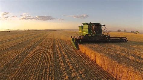 Grain Harvest Crapo Farms 2015 Youtube