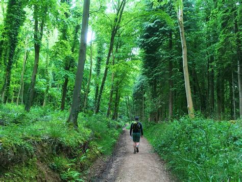 Our Guide To Walking The Cotswold Way National Trail