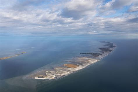 More images for deepwater horizon » Funds From the Deepwater Horizon Settlement Are Flowing Into the Gulf States | Audubon