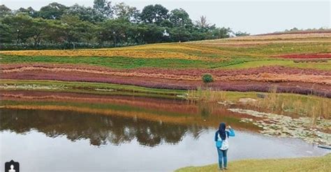 Gunung batu jonggol, bogor jawa barat incridible objek wisata ini berada di dekat perkebunan teh ptp vii. 5 Destinasi Instagramable Bogor, Bukit Teletubbies seperti Luar Negeri