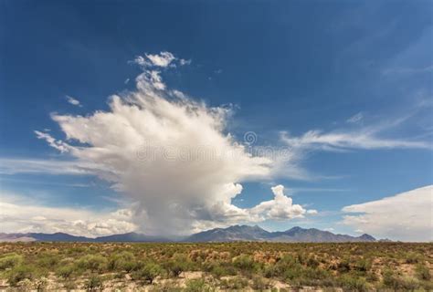 Storm Build Up In Arizona Desert Stock Photo Image Of Thunderstorm