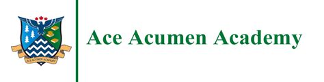Ace Acumen Academy Toronto Toronto Admission Courses Fees Placement