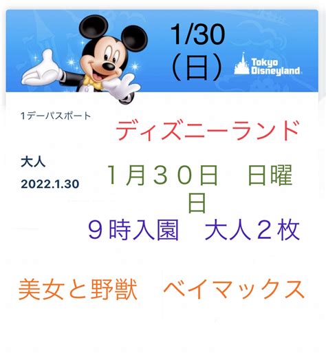 ディズニーランド 1月30日 日曜日 9時入園 大人2枚 ペアチケット 美女と野獣 ベイマックス 130 日 Eチケット レアディズニー