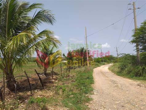 5 acres of farm land for sale old harbour st catherine