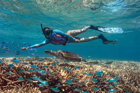 Snorkeling Great Barrier Reef