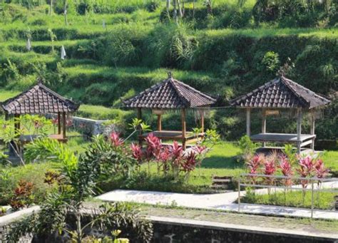 Desa Beleka Sentra Pengerajin Anyaman Rotan Yang Mendunia Go Mandalika