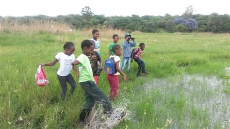Local Authorities Urged To Preserve Wetlands Zimbabwe