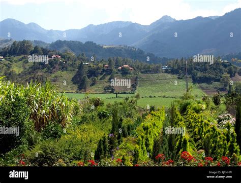 Constanza Dominican Republic Fotos E Imágenes De Stock Alamy