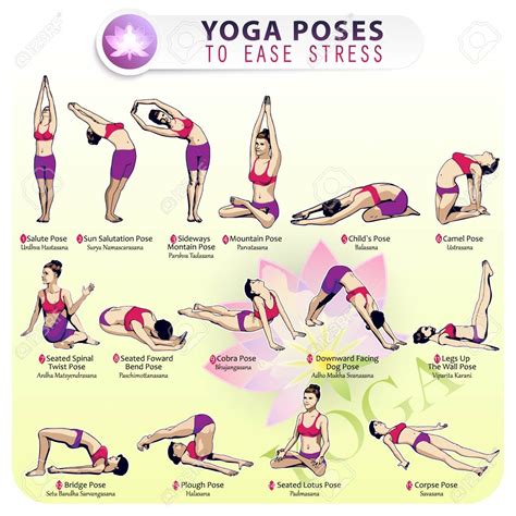 Iillustration Der Reihenfolge Der Ausführung Von 15 Yoga Übungen Zur