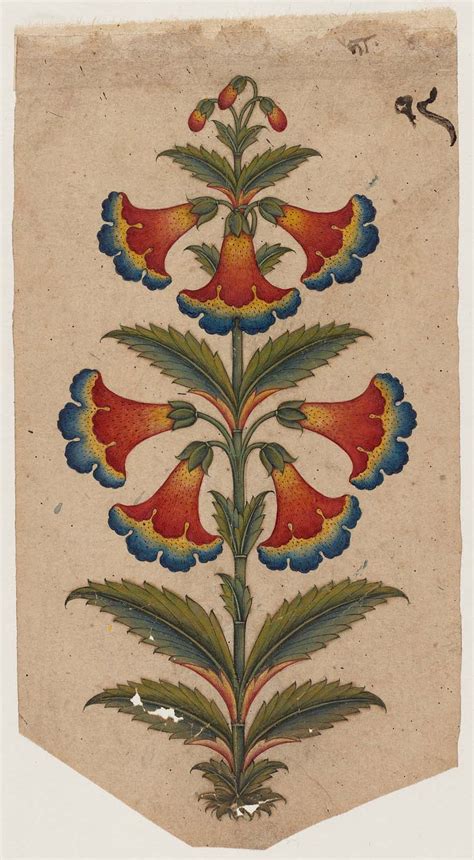 Decorative motif in the form of a flowering plant | Museum of Fine Arts, Boston