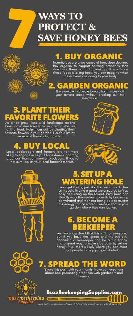 7 Ways To Help Protect And Save Honey Bees Buzz Beekeeping Supplies