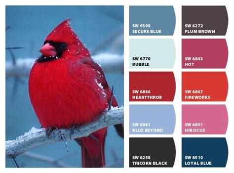 Cardinal Color Palette Inspiration Chip It By Sherwin Williams